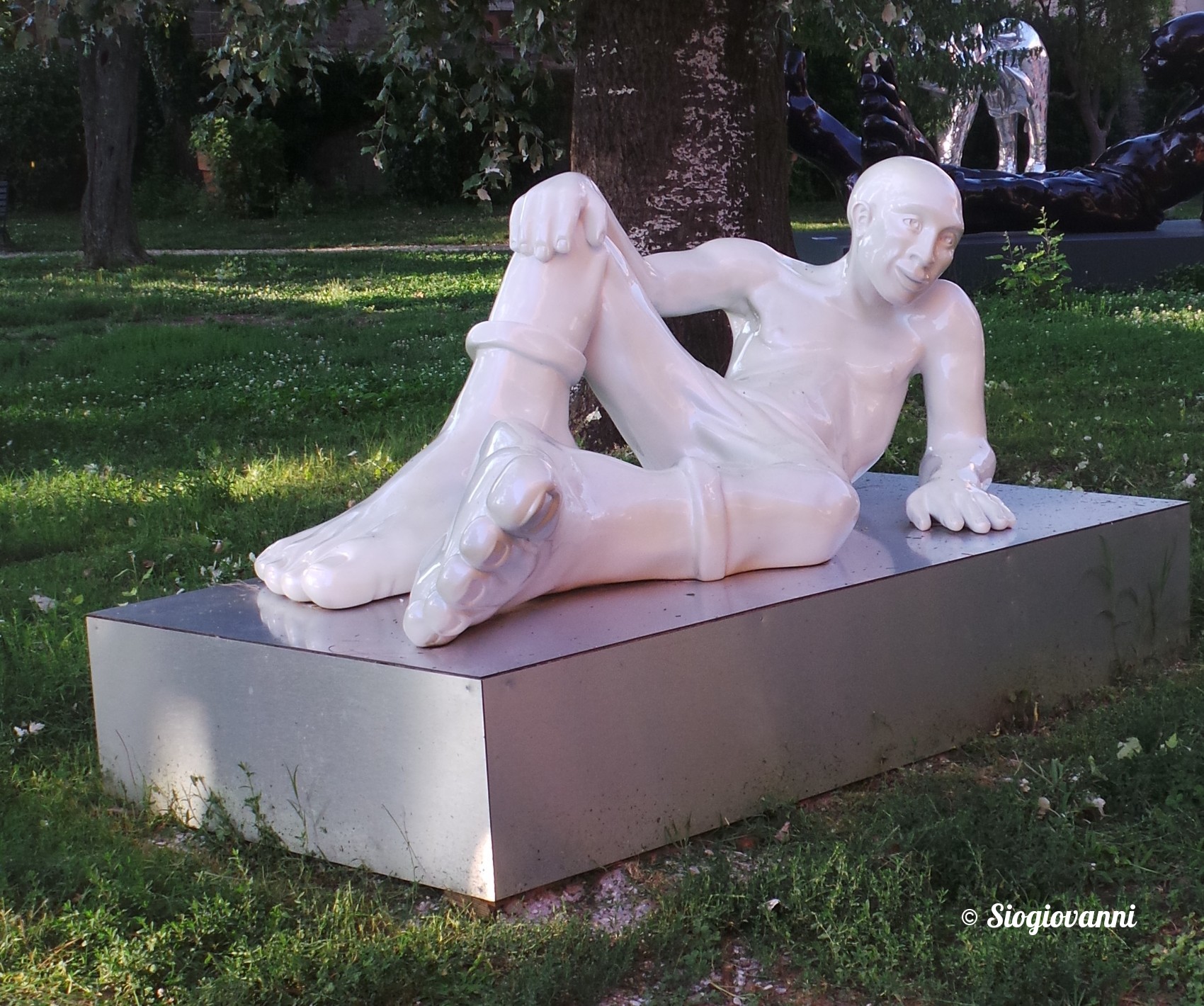 imageedit_3_4419173207