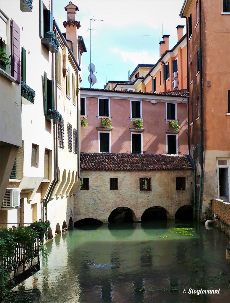 Treviso
