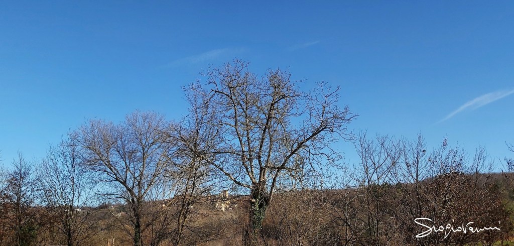 scheletri 28-12-2019